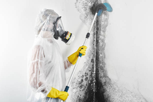 Best Post-Remediation Verification Testing  in Indian Lake, TX