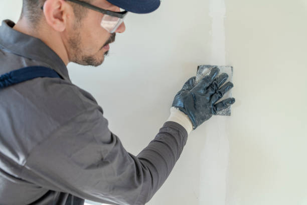 Best Residential Mold Inspection & Testing  in Indian Lake, TX