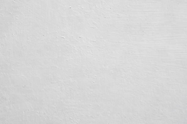 Reliable Indian Lake, TX Mold Removal Solutions
