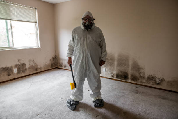 Best Crawl Space Mold Remediation  in Indian Lake, TX