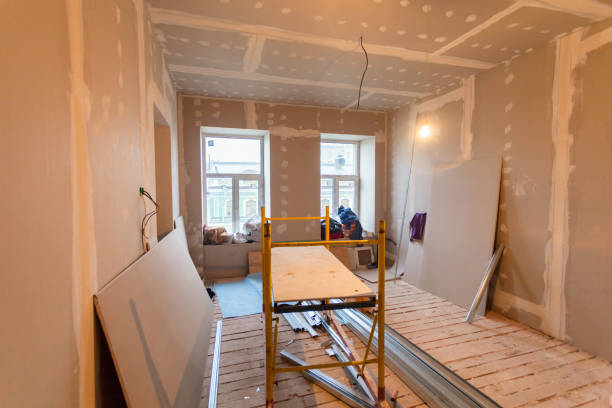 Best Black Mold Removal  in Indian Lake, TX