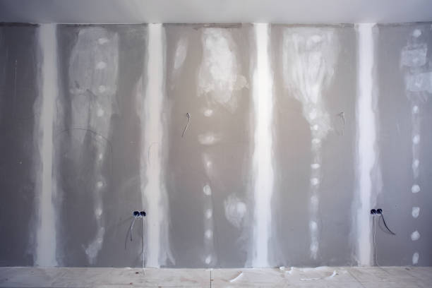 Best Environmental Consulting for Mold Prevention  in Indian Lake, TX